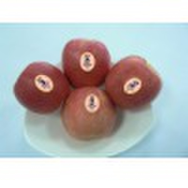 Panda Pink & Panda Fuji