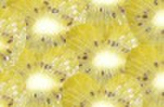 Panda Golden Kiwi