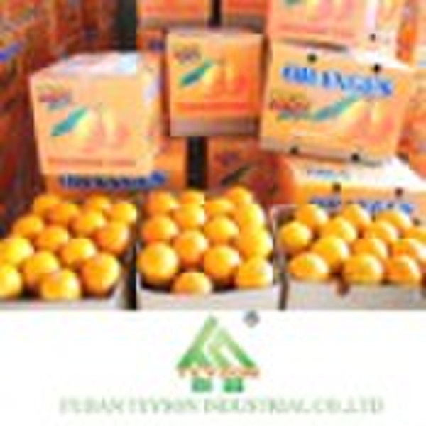 Navel Orange Of High Quality From China (nov. To M