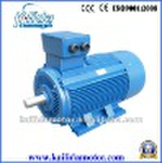 Three Phase Electric Motor