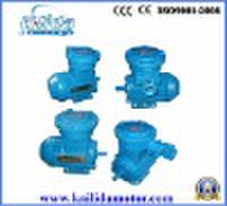 Electric Motor,  Y2 motor Approved CE