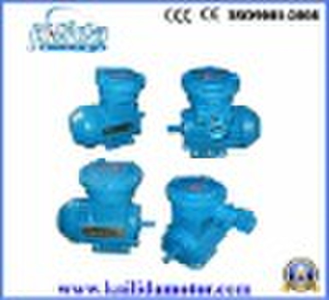 Electric Motor,  Y2 motor Approved CE