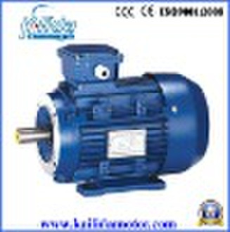 Three Phase Electric Motor