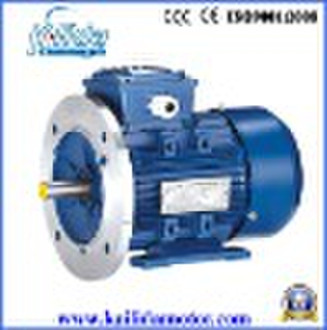 Y3 Series Electrical motor