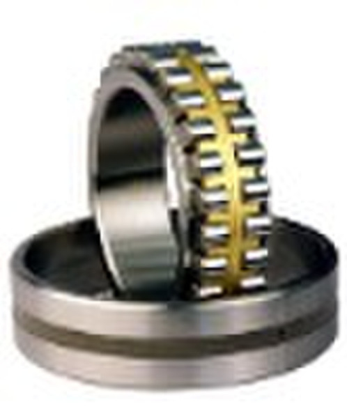 Double row ylindrical roller bearing