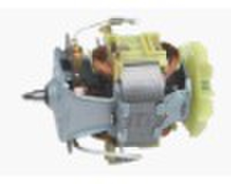 Mixer motor 7025FN-24P