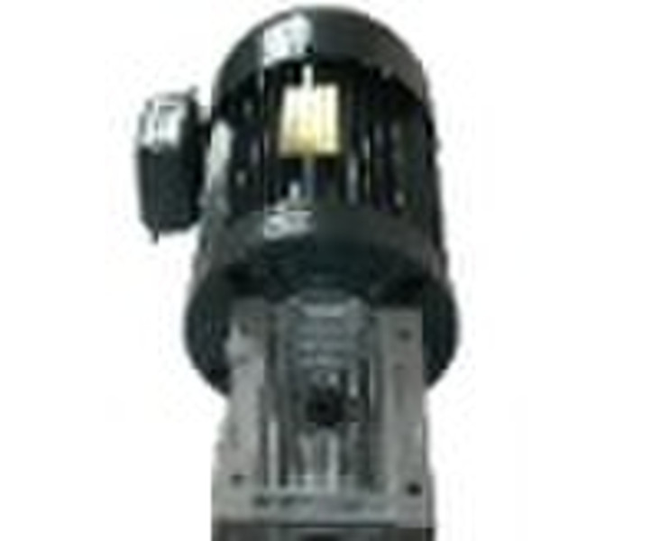 worm motor, gear reducer motor, asynchronous motor