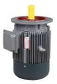 Y Series Electric Motor