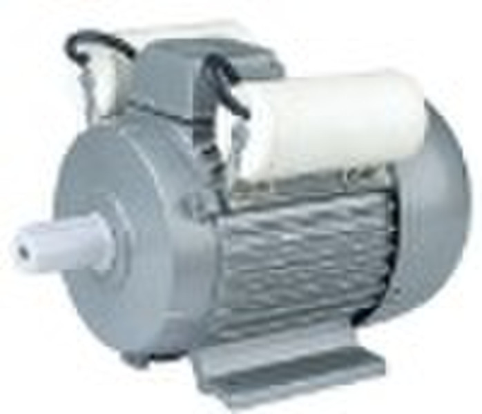 YL Series Electric Motor