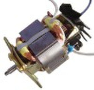WB6830 AC Motor