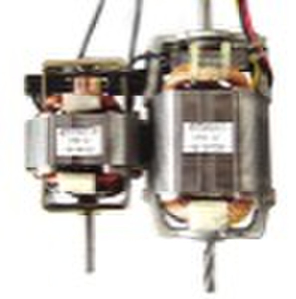 WB70 Series Micro Motor