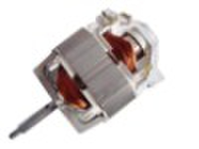 WB7625 Brushed Motor