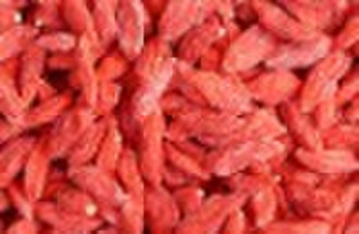 Organic dried goji berry