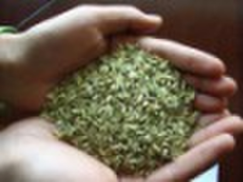 organic fennel seed