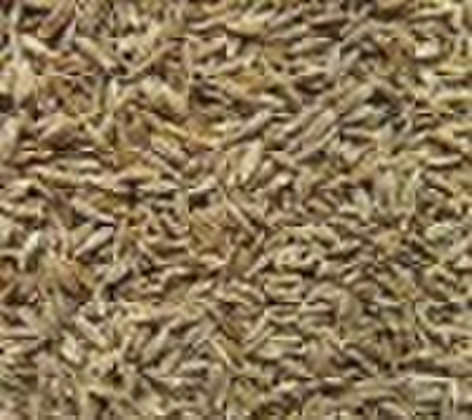 organic cumin seeds