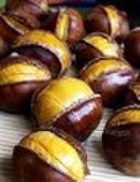 chestnut