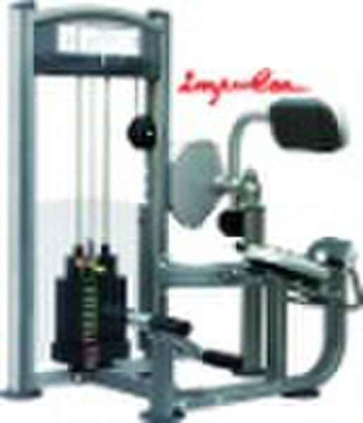 IT9011 BACK EXTENSION  FITNESS EQUIPMENT