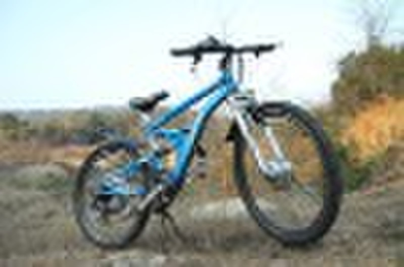 26"Recreation Electric bicycle