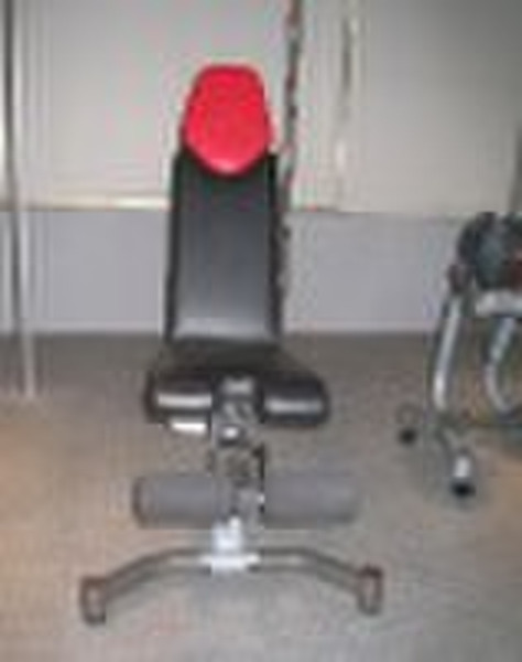 Bowflex Hantel Strand