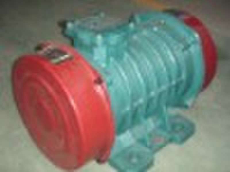Vibrator electric motor