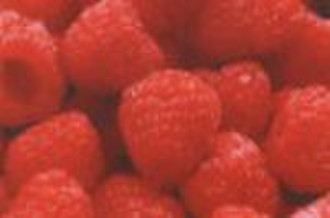 IQF Raspberry