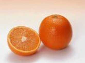 中国新的肚脐橙（新鲜橘子/甜点