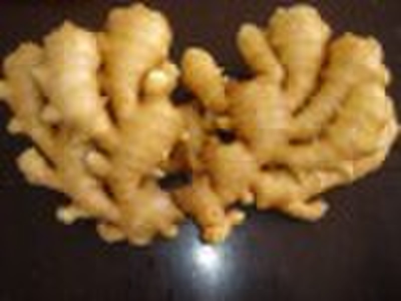 fresh ginger