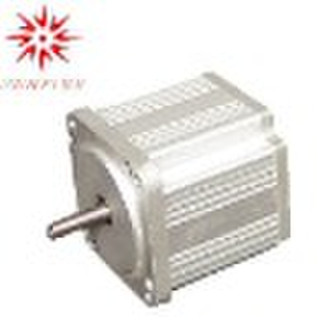 36V DC Brushless Motor (CE,Rohs)
