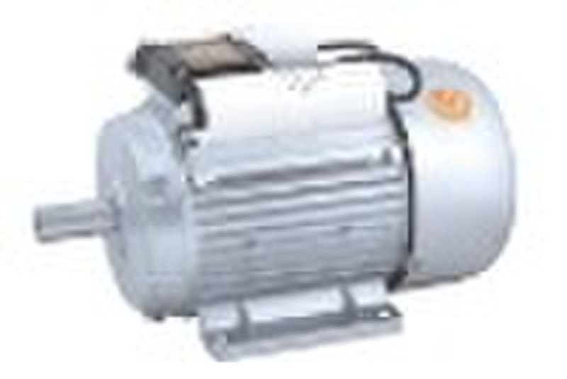 electric motor