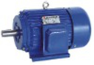 Y series 3 phase electric motor