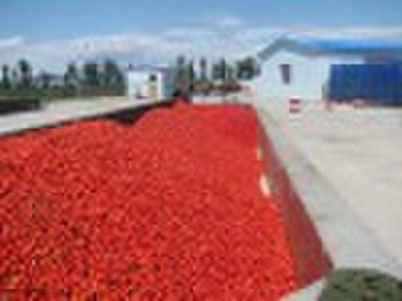 2010 new crop tomato paste