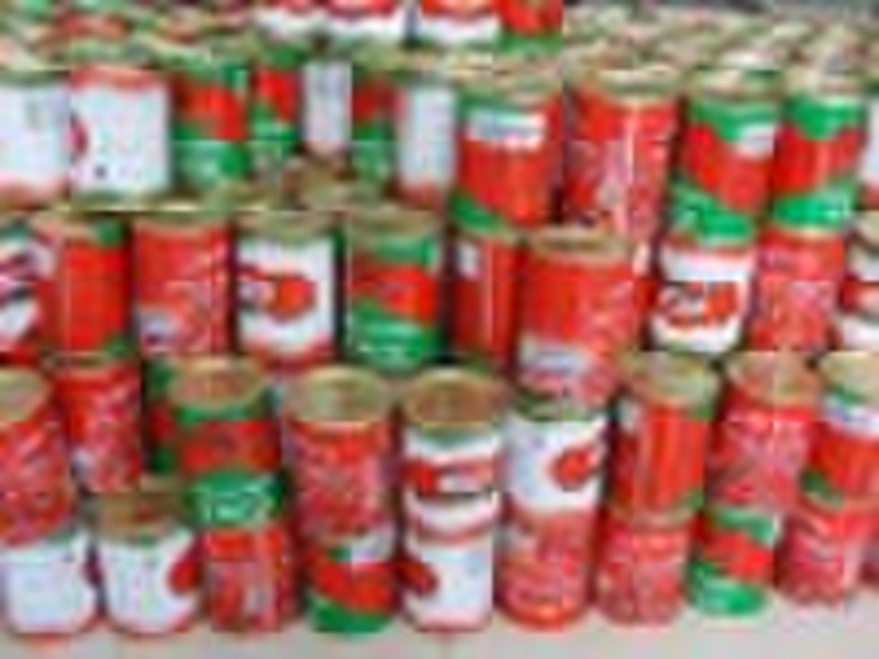 2010 crop  canned tomato paste