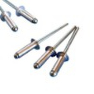 Blind Rivet