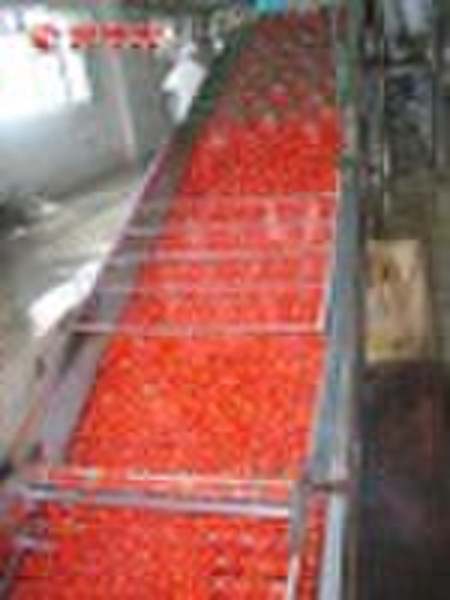 Drum Packing Tomato Paste