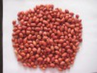 red skin peanut kernels