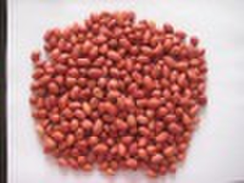 red skin peanut kernels