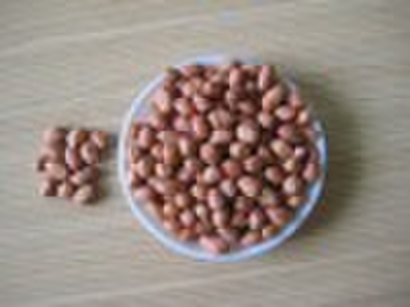 2010 crop,round shape peanut kernels