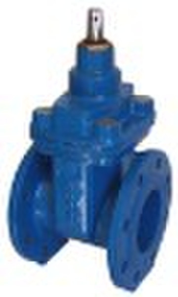 gate valve