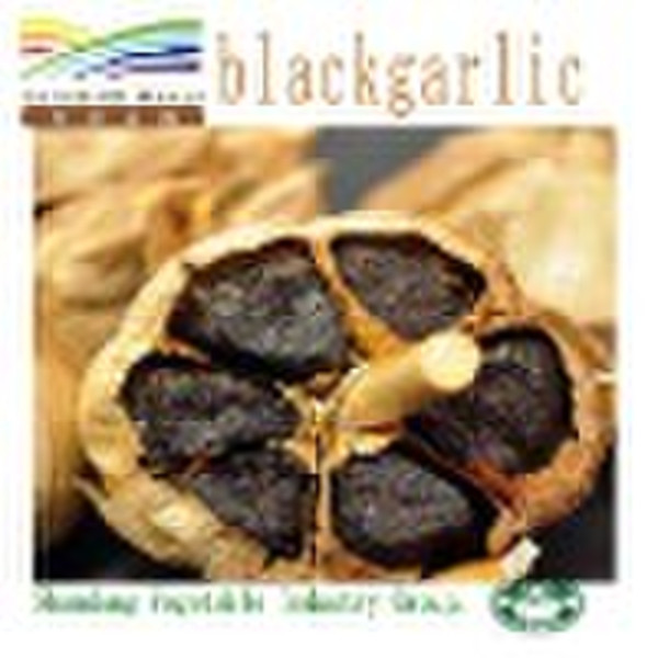 Black garlic (HOT SELL)