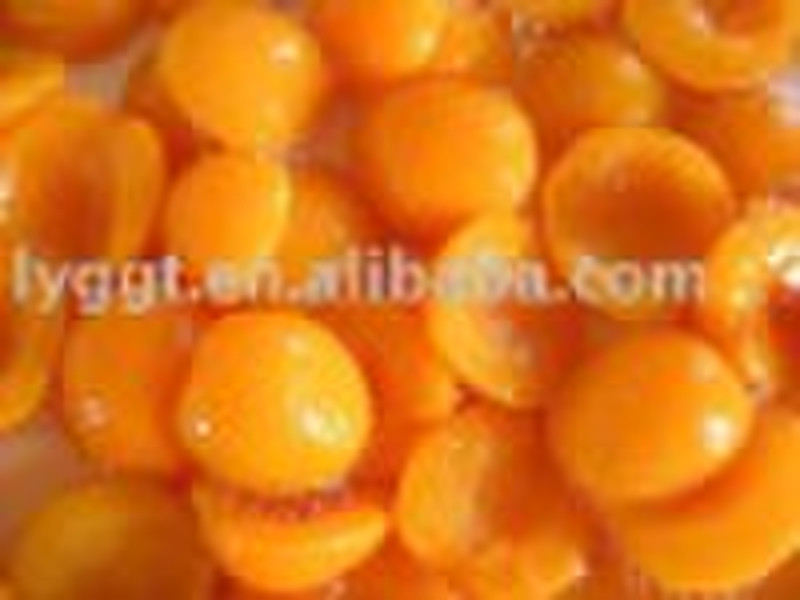 canned apricot