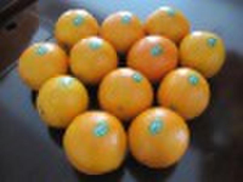 fresh Chinese orange