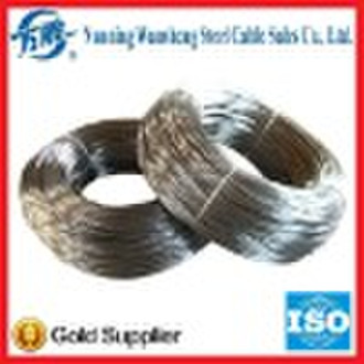 Galvanized steel wire