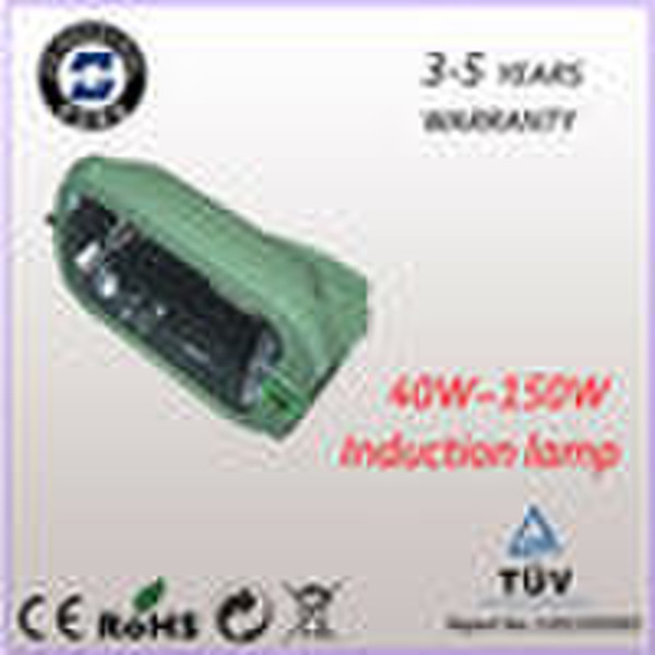 induction street light