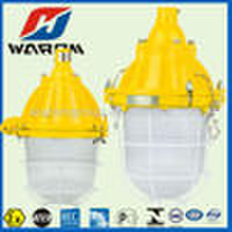 Pendant Explosion-proof light fittings