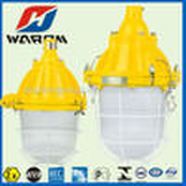 Pendant Explosion-proof light fittings