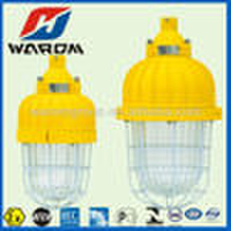 Flameproof Energy-Saving Lightings