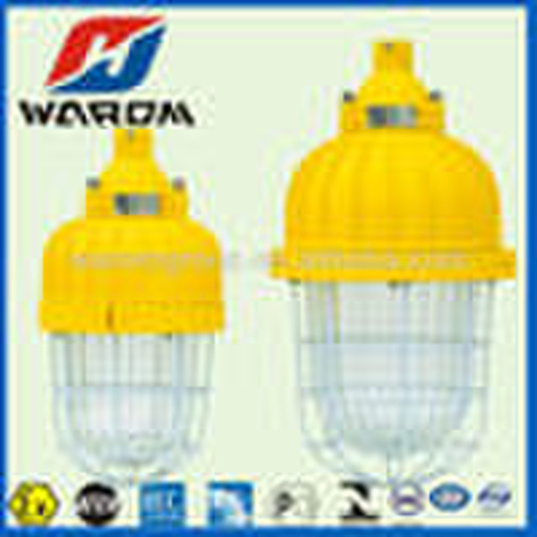 Flameproof Energy-Saving Lightings
