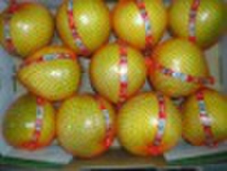 citrus (Chinese pomelo)