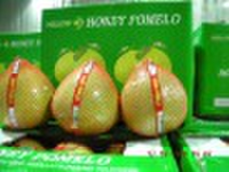 chinese pomelo