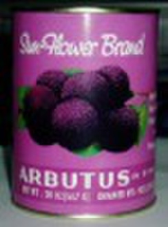 CANNED ARBUTUS